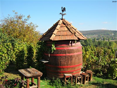 Balaton – Za vínem a do termálů