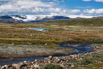 Norské fjordy, hory, vodopády a ledovce - Hardangervidda