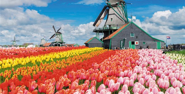 Květinový park Keukenhof s návštěvou Amsterdamu