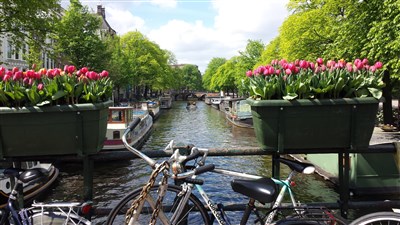 Květinový park Keukenhof s návštěvou Amsterdamu