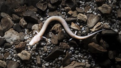 Přírodní krásy Chorvatska a Slovinska