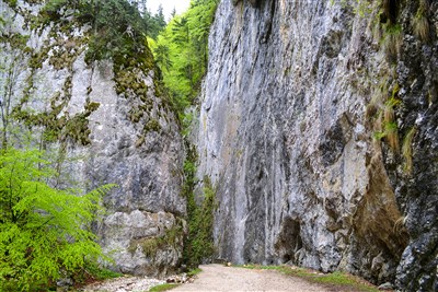 Tajemná Transylvánie po stopách hraběte Drákuly