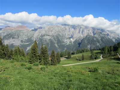Trentino - Val di Sole