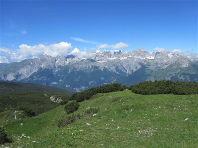 Trentino - Val di Sole