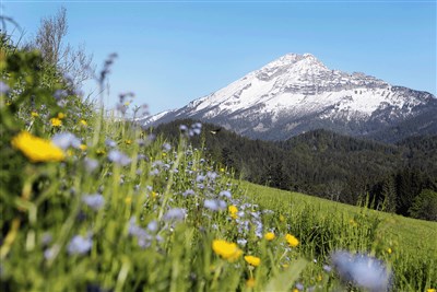 Vodopády a soutěsky Ötscheru