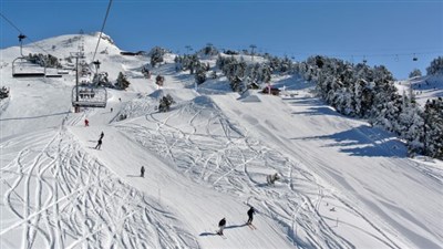 La Norma/Valfréjus – Les Portes de la Vanoise, Le Tétras, Les Campanules a jiné