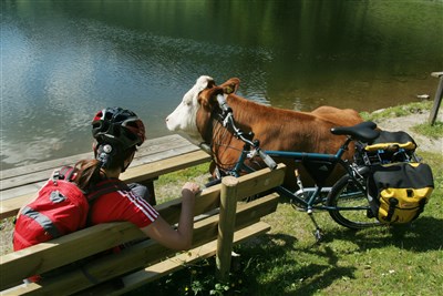 Ennská cyklostezka, Dachstein a Vápencové Alpy