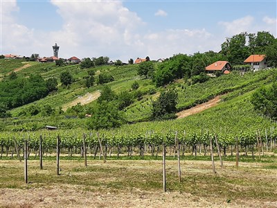 Julské Alpy a Jadran