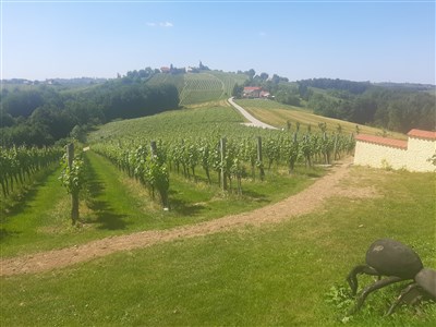 Julské Alpy a Jadran