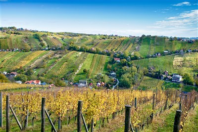 Julské Alpy a Jadran