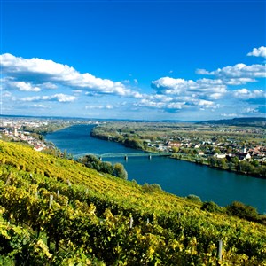 Dunajská cyklostezka