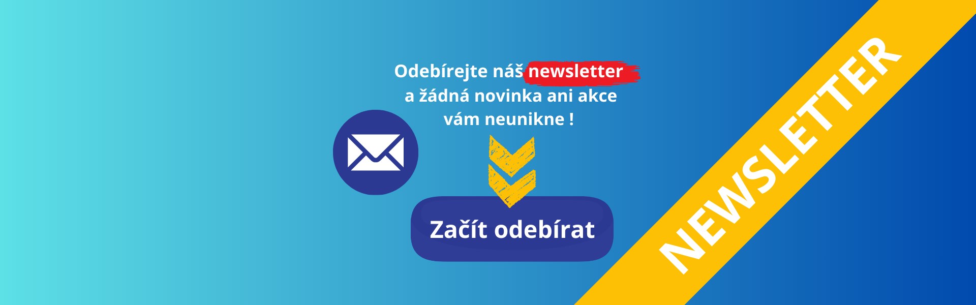 NEWSLETTER