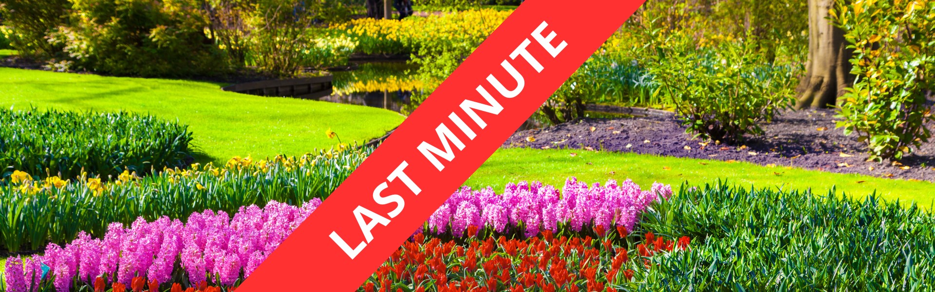 LAST MINUTE - HOLANDSKO