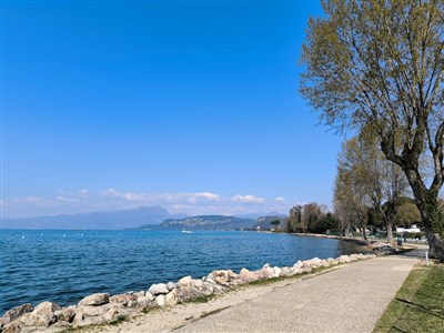 Camping Cisano & San Vito