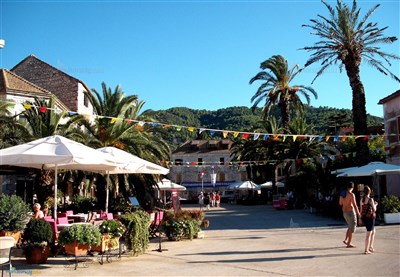 Trim Sunny Apartmens