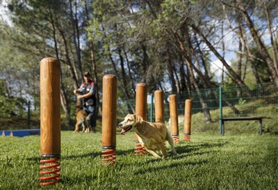 Lanterna Premium Camping Resort