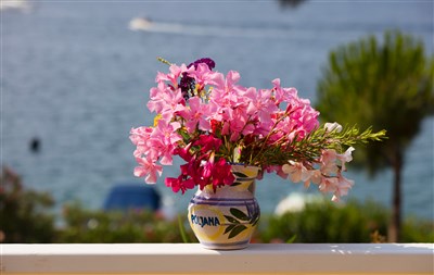 Camping Village Poljana