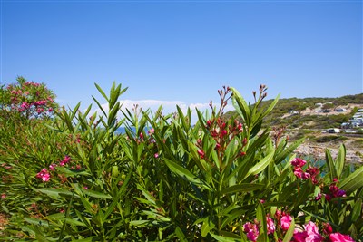 Camping Village Poljana