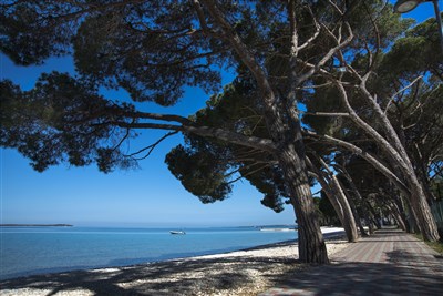 Centro Vacanze Bi Village