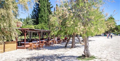 Beach Camping Imperial