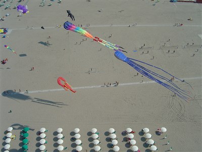 Mare e Pineta International Camping