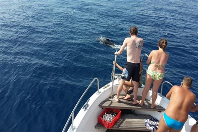 Camping Ville degli Ulivi