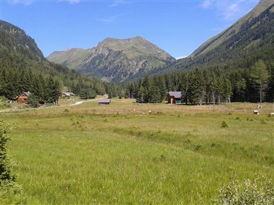 Murská cyklostezka – Alpy pro pohodáře a bikery