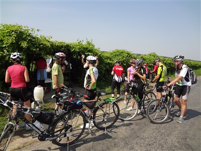 Neziderské jezero, perla Burgenlandu