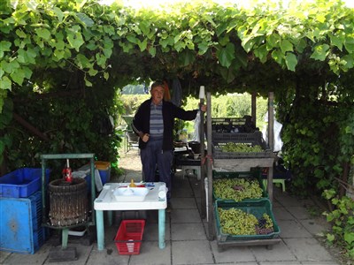 Neziderské jezero, perla Burgenlandu