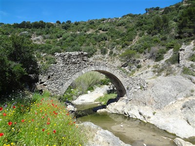 Azurové pobřeží a kaňon Verdon