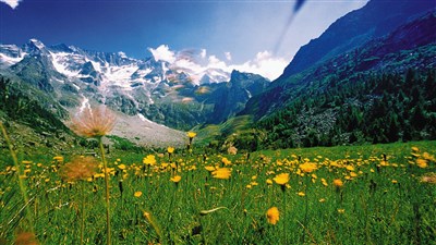 Trentino - Val di Sole