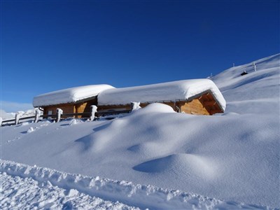 La Norma/Valfréjus – Les Portes de la Vanoise, Le Tétras, Les Campanules a jiné